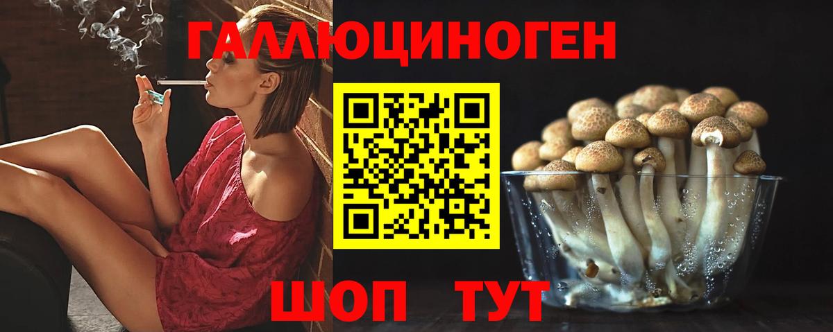 Галлюциногенные грибы Cubensis Долгопрудный