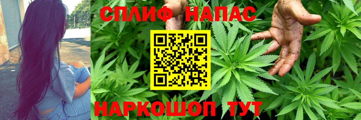 Каннабис MAZAR Долгопрудный
